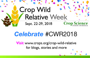 Crop Wild Relative Week logo with confetti around it