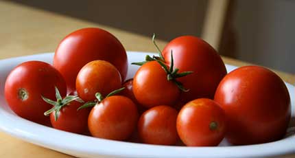 Plate of tomatoes