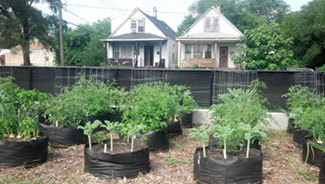 urban gardening site