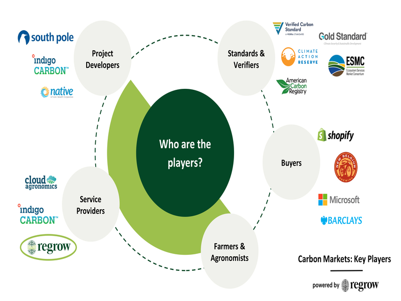 graphic showing players in carbon markets by category and companies