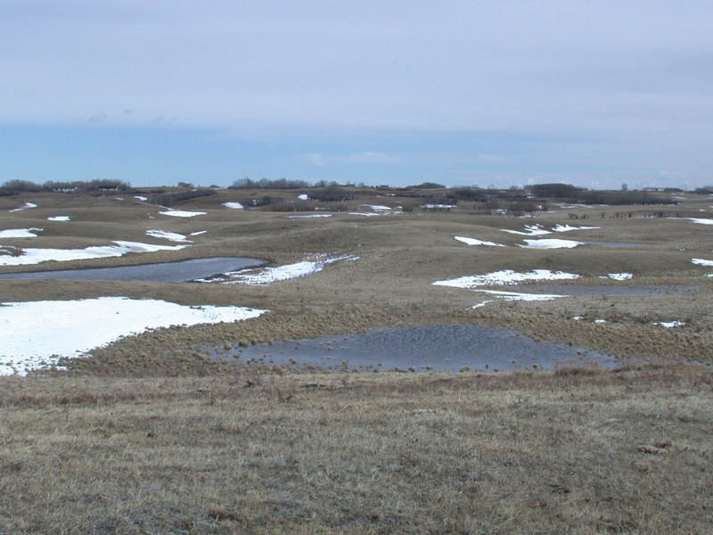 several depressions in ground filled with water with patches of snow nearby