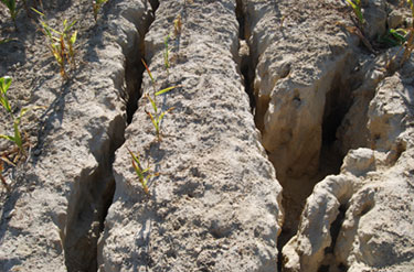 extreme soil erosion