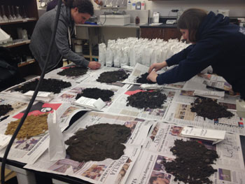 soil samples on table