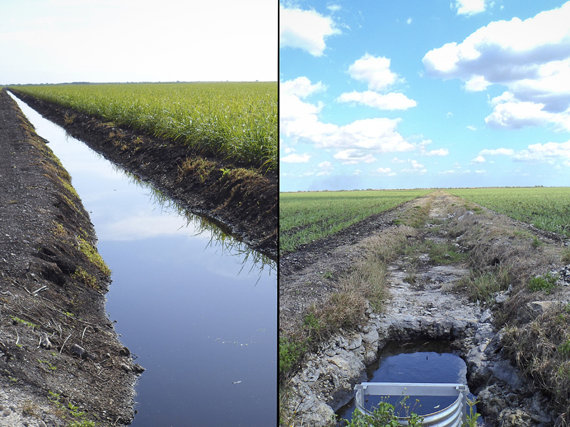 side by side comparison of shallow and deep soil