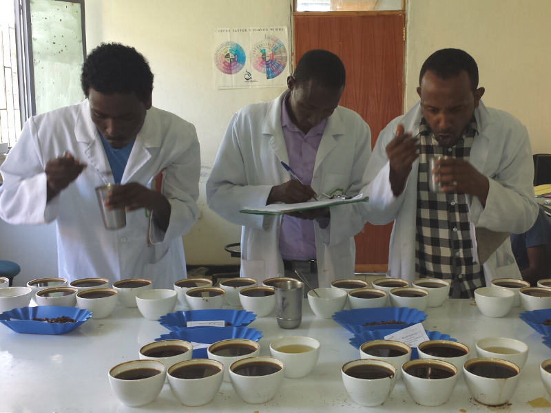 three people in lab coats taking notes and tasting various cups of coffee on table 