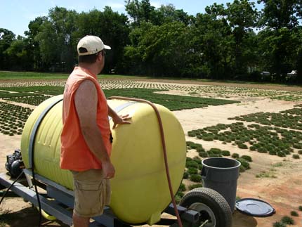 researchers in field