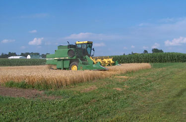 machinery harvesting wheat