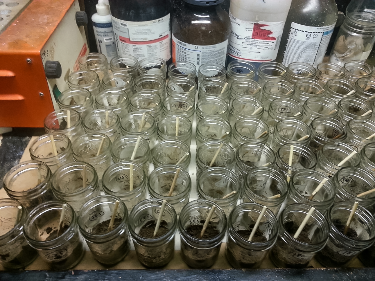 Soil in jars