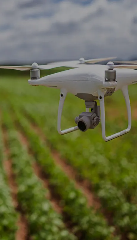 Drone flying over a field of crops