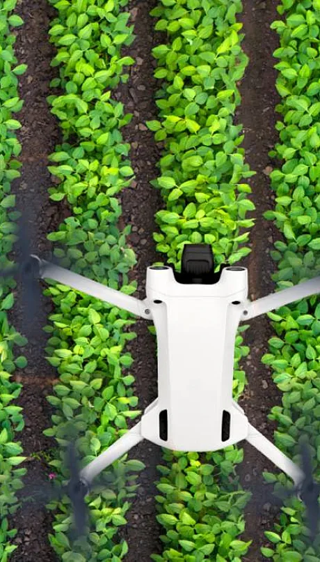 Farmer controlling drone on the farm