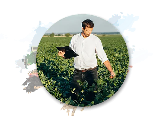 Man in a field doing crop testing